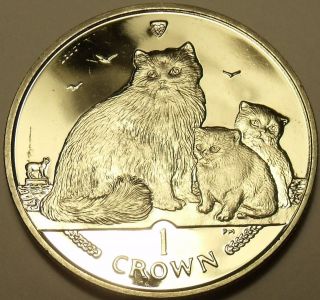 CHOICE GEM UNC ISLE OF MAN 2007 CROWN~RAGDOLL CATS~COIN OF THE YEAR 