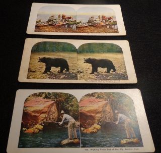 Vintage Stereo Viewer Cards Three Cards Fishing Scene T.W 