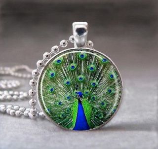 Peacock Bird Animal Altered Art Glass Dome Photo Pendant Necklace, no 