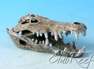 Crocodile Skull Resin Aquarium Decoration/Orn​ament Sm