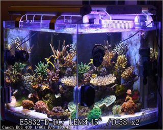 KEY LED REEF LIGHTS FOR SALTWATER SPS LPS 3W CREE DIMMABLE 1 Year 
