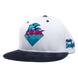 dolphins camo hats
