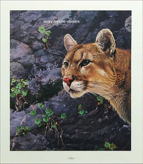 Alan Hunt SOLITAIRE Signed & Numbered Cougar Mountain Lion Puma Art 