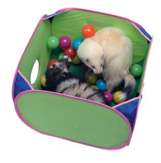 Marshall Ferret Pop N Play Ball Pit Toy for Ferrets