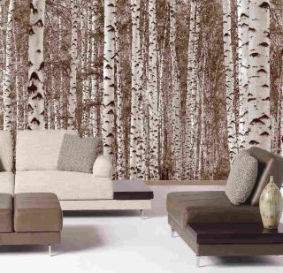 Birch Forest Trees Sepia Wa​ll Mural 12wide by 8high