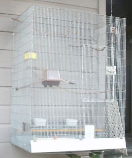 Large aviary flight cage