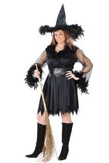 Sexy Feather Witch Plus Size Halloween Costume (16 24)