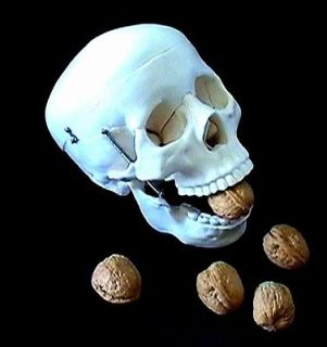Life size Medical Anatomical Human Skeleton Model, 170cm, High Quality