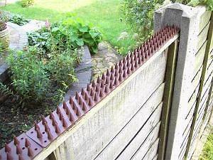 Fence and Wall Security Spikes Animal Intruder Repeller 15m Pack/30 
