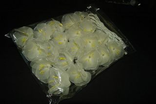 WHITE TULIPS ~ BEAUTIFUL STRING LIGHTS WITH SILVER WIRE ACCENT