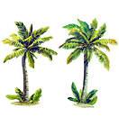 50 Tropical Beach Palm Trees Wallies Wall Stickers Wallpaper Decals 