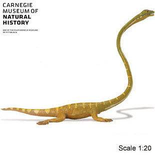 Dinosaur Tanystropheus Carnagie Collection   Buy $50 plus, get FREE 