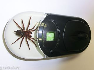 Cordless Computer Mouse   Tarantula Spider Specimen (Black Case 