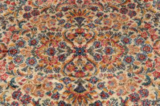    Persian Kirman design Karastan wool area rug great condition # 759