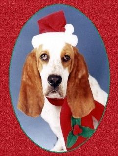 Pet Christmas CardsDog Bassett Hound Xmas