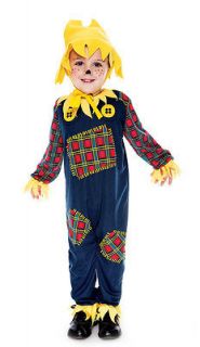 Toddler Size 2T Little Scarecrow Toddler Costume   Kids Costumes