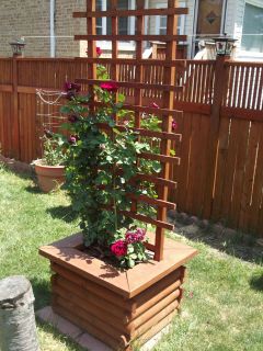Outdoor Wooden Planter with Trellis