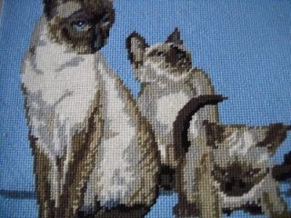   KITTENS Wool NEEDLEPOINT COMPLETED Permin Blue PILLOW CHAIR COVER