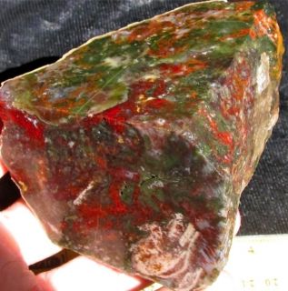 Amazing Crazy Lace Agate from Chihuahua Mexico Multi Colored Chunk 