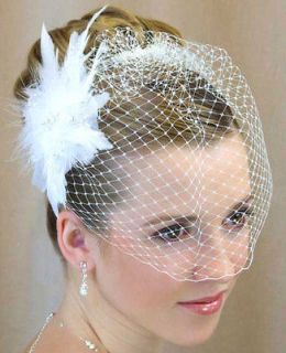 Wedding Veil Bridal White Birdcage Flower Feather Fascinator French 
