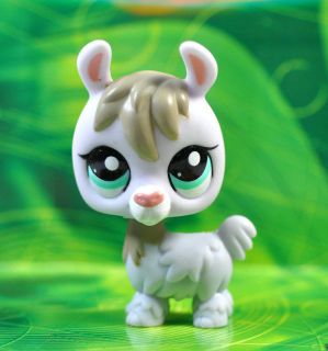 Littlest Pet Shop Collection Child Girl Figure Cute Toy Loose Rare 