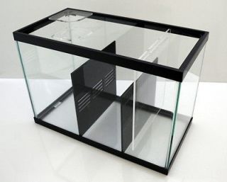 custom aquarium in Aquariums