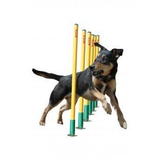 Clix Agility Dog Training Weave Poles   Dog Equipment