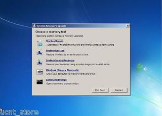   RECOVERY OPTIONS DISC FOR * HP * ANY MODEL ON 32 BIT WIN SYSTEMS