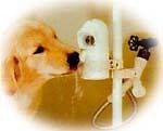 DOG PET CAT WATERDOG OUTDOOR WATER DRINKING FOUNTAIN