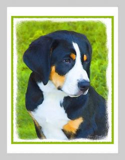Bernese Mountain Dog Puppy Blank Note Greeting Cards