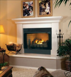 Ventless Propane & Natural Gas Fireplaces Insert Vent Free Fireplaces 