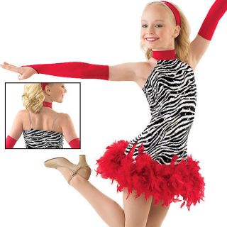NWT Skating Dance Recital Costume Jazz Twirl Baton Tap 4564 Zebra 