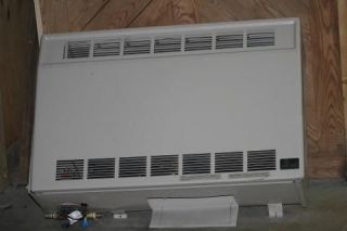 Empire Heating System gas heater