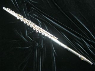 trevor james flute in Flute