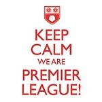 Southampton Keep Calm Were Premier League Football Retro Badge T 
