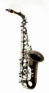   Sax BIG LIP Alto Saxophone in Black Nickel finish Selmer sax care kit