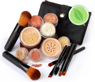 17 pc Full Size Loose Minerals Makeup Cosmetics Kit Bare Kabuki Vegan 