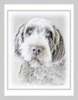 Wirehaired Pointing Griffon Blank Note Greeting Cards