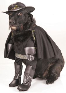 Zorro Dog Doggy Pet Halloween Costume with Hat & Cape Small Medium 
