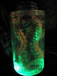  Jar Octopus Tentacles Mad Scientist Lab Specimen Halloween Party Prop