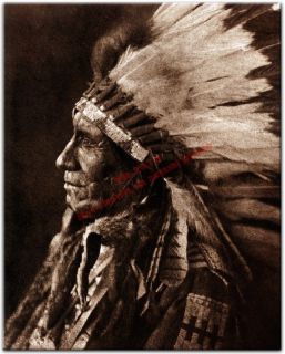 1908 American Horse, Ogalala Indian Tribal Chief ~ Native Headdress 