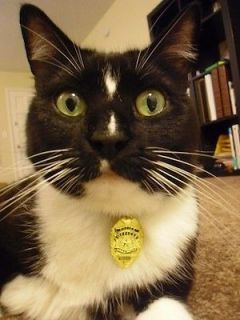 Pet Cat Dog Kitten Puppy GOLD Police badge for collar tag advantage to 