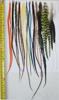24 Long Whiting Feathers for Hair Extensions, w/20 Beads, #2405, 9 13 