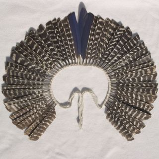  headdress arawak taino caribe carribean boriquen plumas 