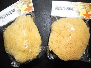 loofah sponge in Bath Brushes & Sponges