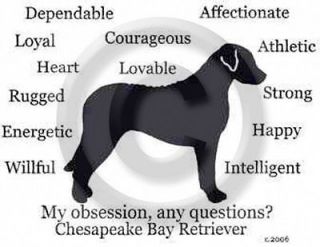 Chesapeake Bay Retriever Dog My Obsession,any questions? Sweatshirt