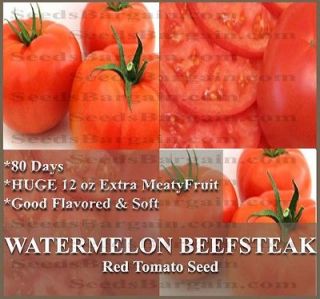   BEEFSTEAK Tomato seeds HEIRLOOM ~ HUGE Extra large red tomatoes