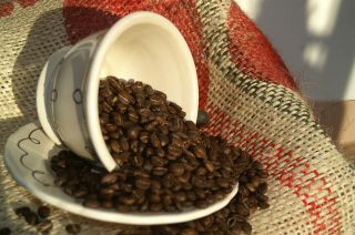 coffee beans in Coffee Beans