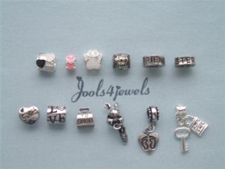 Assorted Charm/Bead for European Charm Bracelets