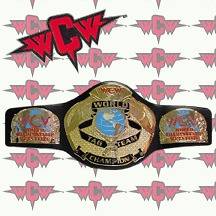 WCW World Tag Team Championship Title Belt Replica, Adult Size